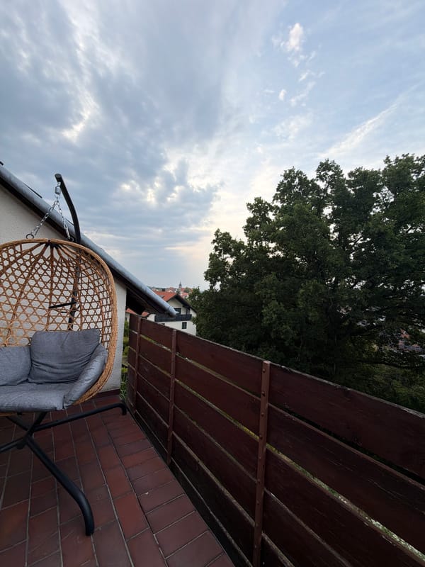 Cat, balcony, and rooftops on a cloudy Creußen evening
