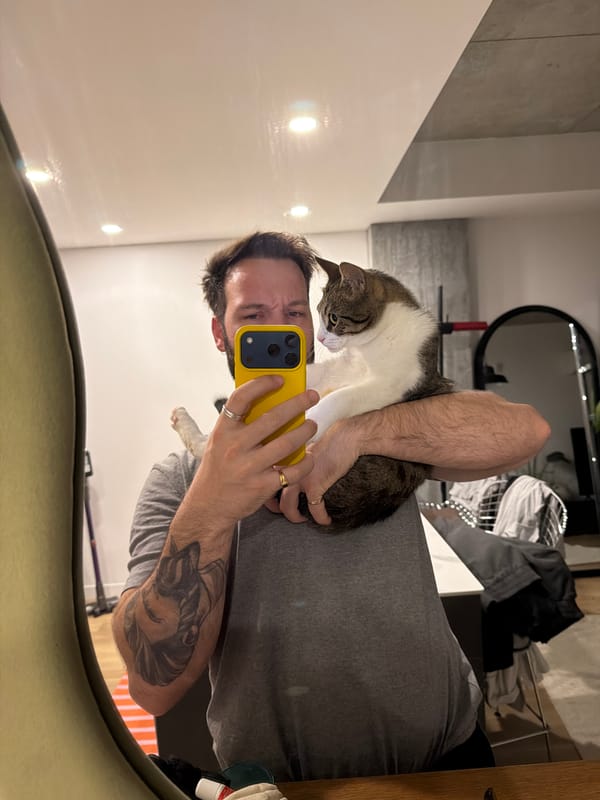 Man takes mirror selfie with cat companion in Laval