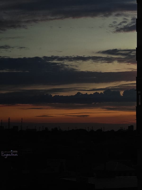 Summer evening at home in Bataysk: fresh fruit, a cat, dusk skies