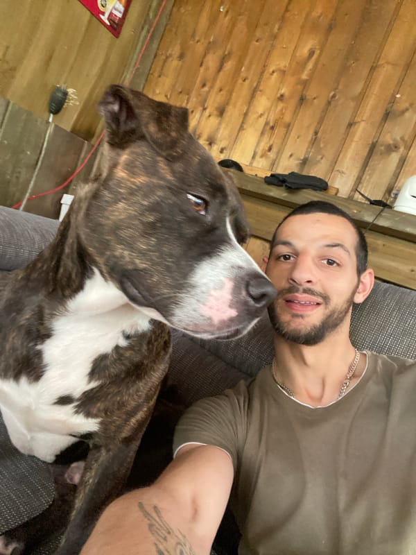 Man and pit bull dog spotted in casual settings around Hanover