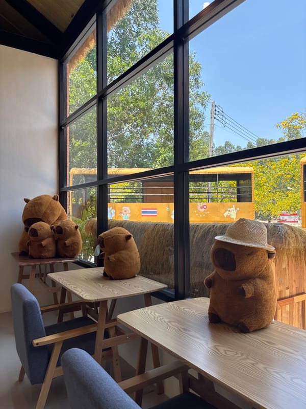 Capybaras spotted at facility in Choeng Thale, Thailand