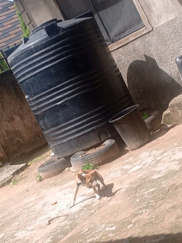 Street-level everyday life in Jalingo, Nigeria