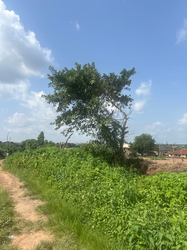 Street-level look at Ogbomosho's everyday urban fabric
