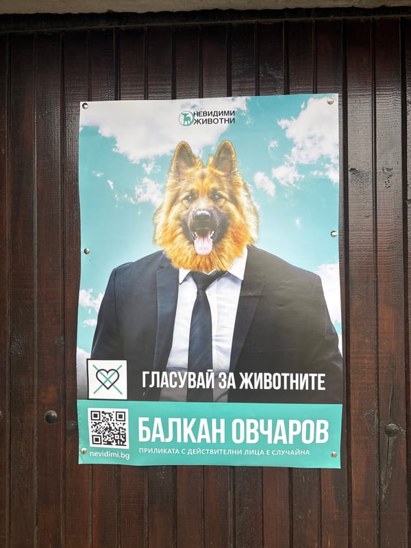 Morning street scenes and everyday moments captured across Sofia