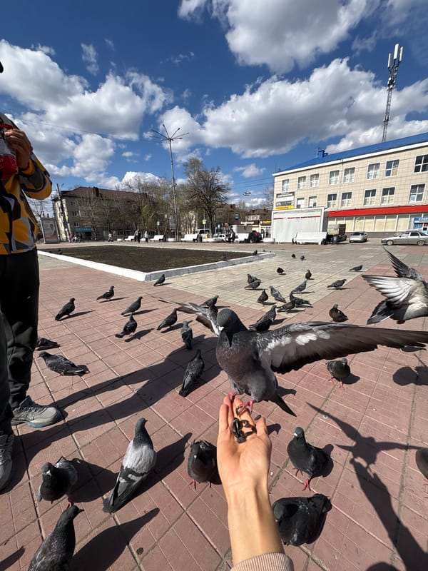 People feed pigeons in sunny Ulyanovsk square