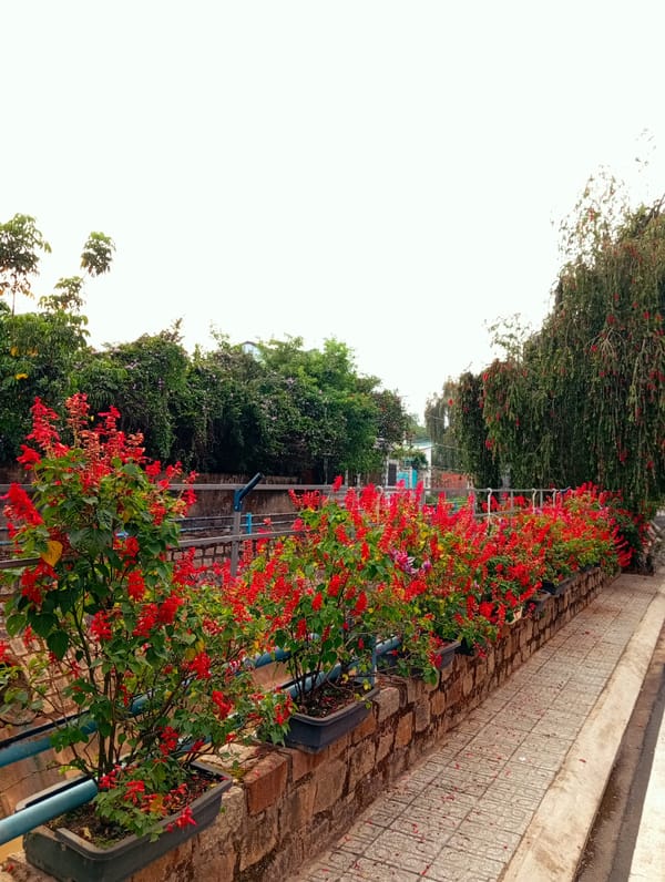 Morning walk through Đà Lạt captures architecture and street scenes