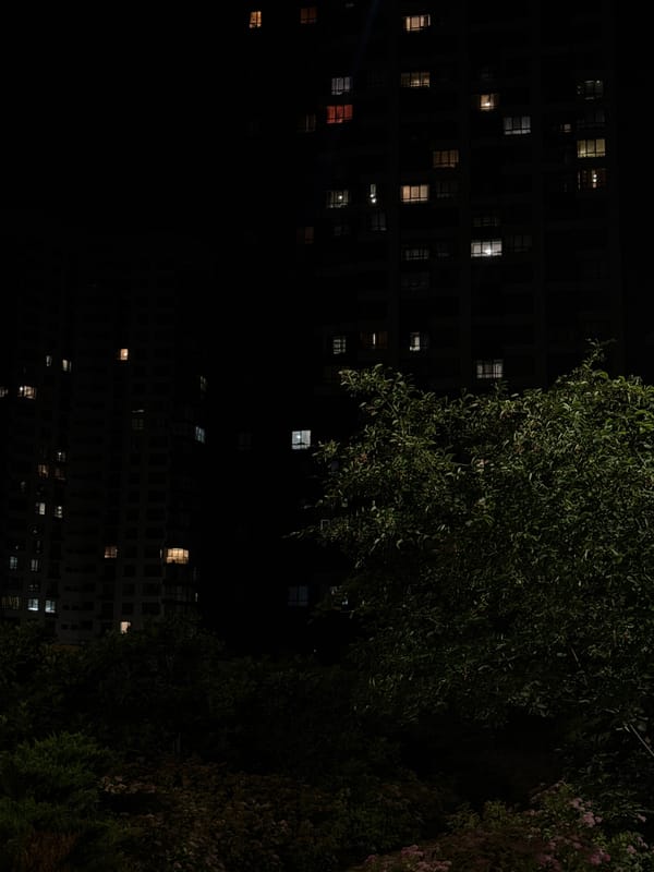 Evening scenes documented around Kyiv apartment complex and park