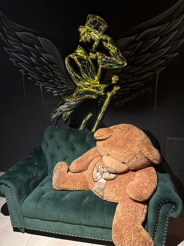 Teddy bear spotted on green sofa in Bulgarian lounge