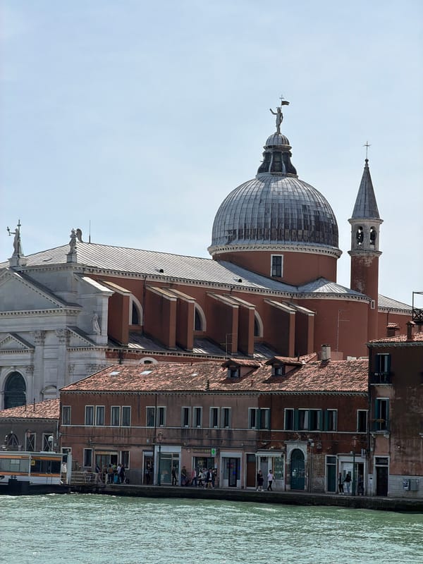 Water bus spotted near Santa Maria della Salute basilica