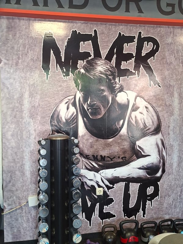 Gym visitor documents selfies at Schwarzenegger-themed fitness facility
