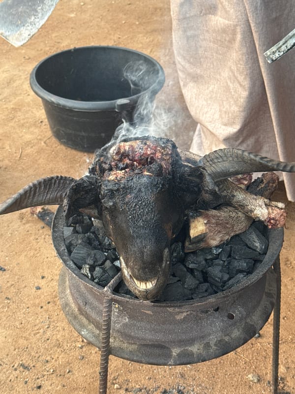 Traditional goat head preparation documented in Yelwa, Nigeria