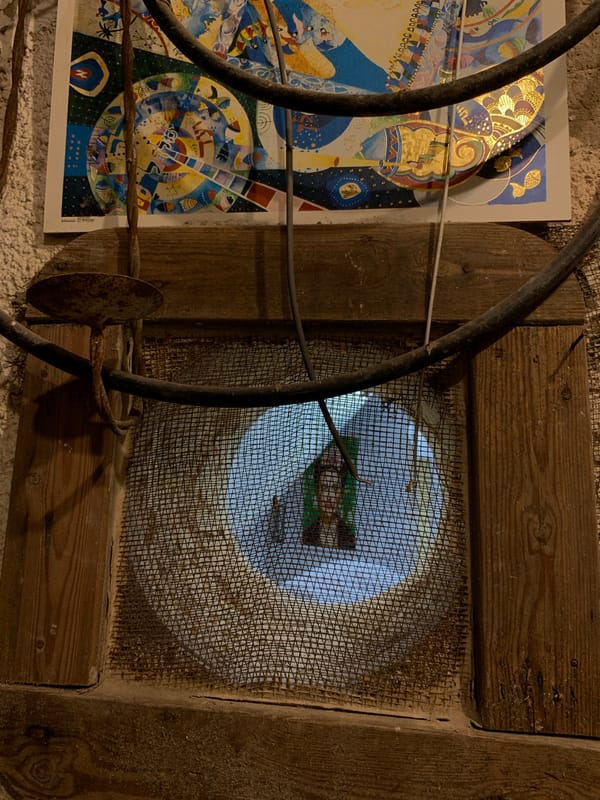 Tel Aviv evening captured: British shop, dogs, mirror selfies