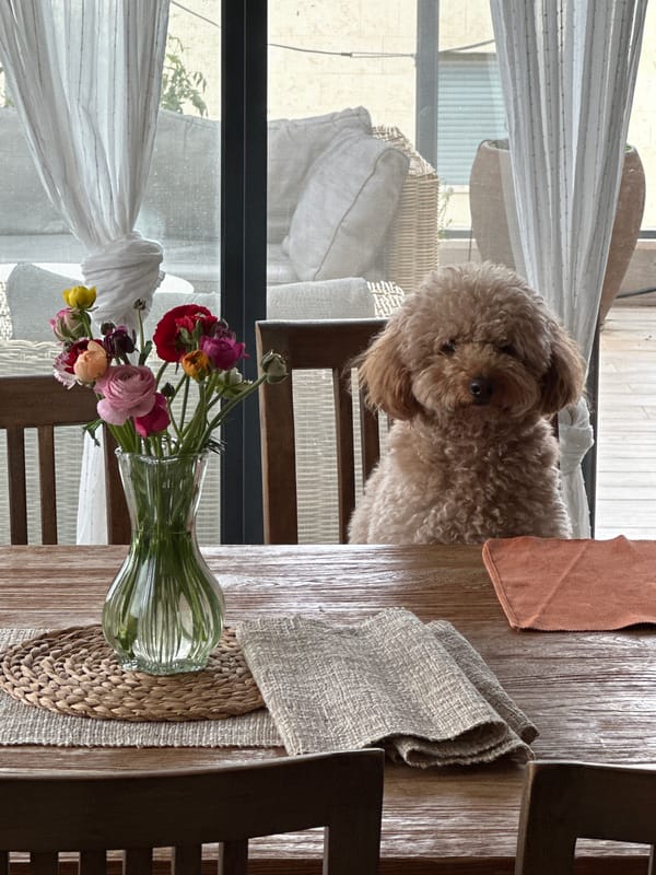 Dining area with wooden table observed in Raanana