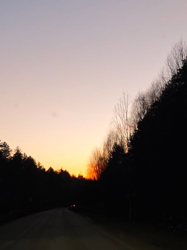 Women in car and twilight road scene in Dubovaya