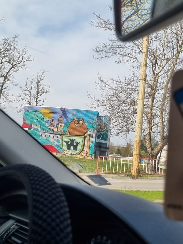 Patriotic mural with lion and eagle spotted in Veliko Tarnovo