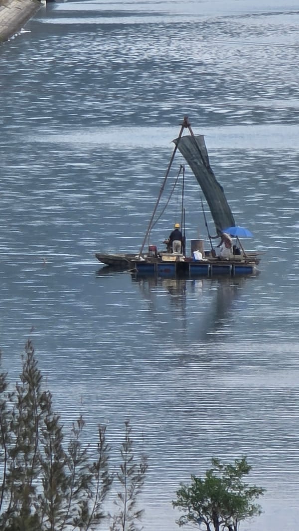 Fishing boat with makeshift sail spotted in Nha Trang waters