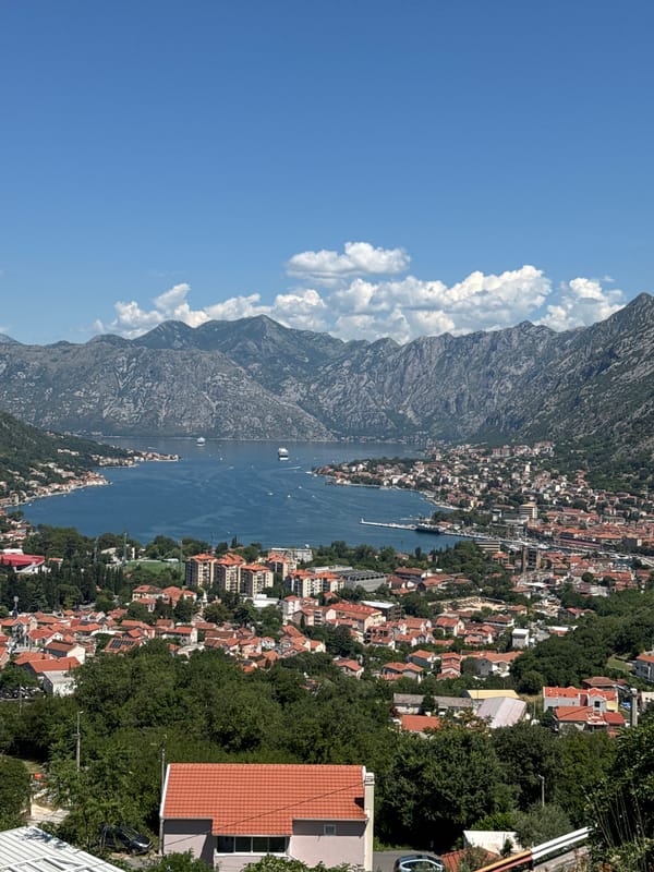 Bay of Kotor views and a very relaxed cat on marble steps