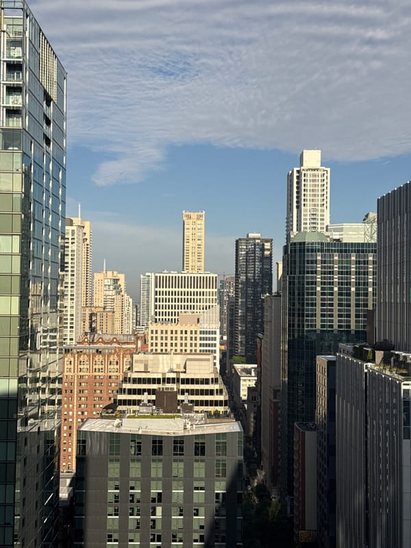 Chicago midday: coffee, houseplants, photo books, and skyline