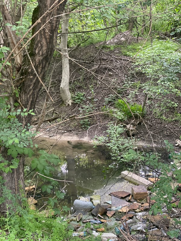 Polluted stream documented in Plovdiv, Bulgaria amid urban pathway