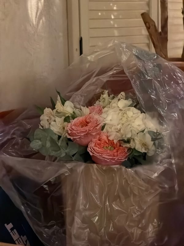 Beer and flowers captured at Kazan location