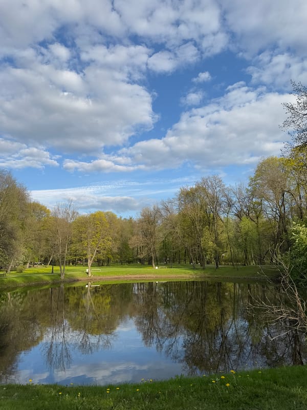 Spring walk through Saint Petersburg parks and canals documented