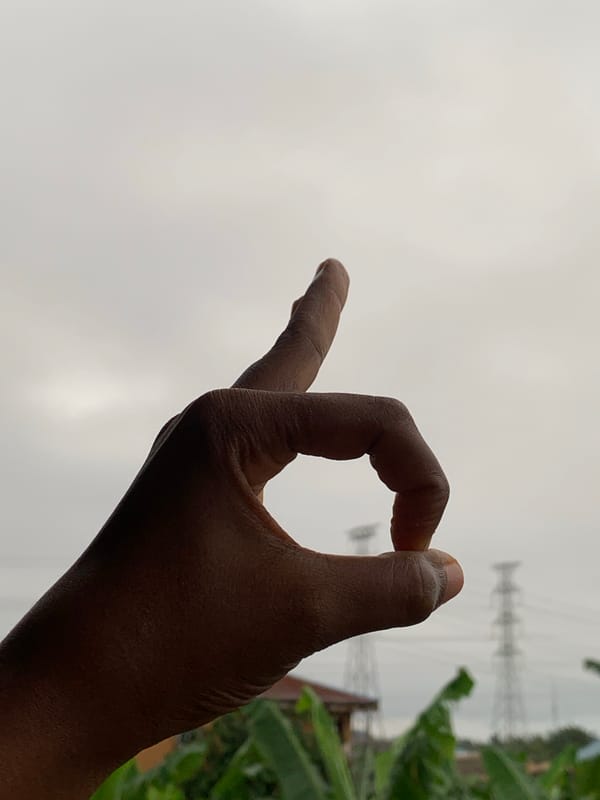Rooftop hand gestures and birds under overcast Ikorodu skies