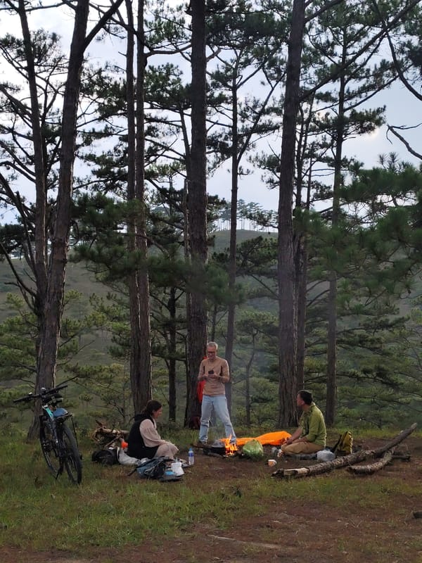 Three campers gather around fire in Vietnamese pine forest