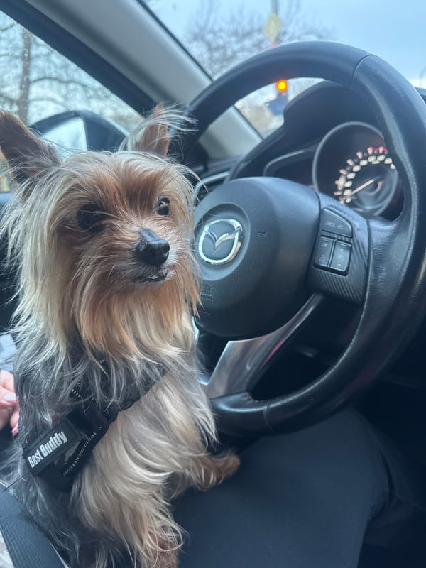 Daily life moments captured across Burgas, Bulgaria