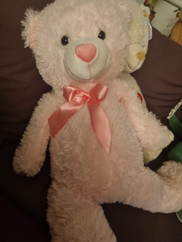 Cozy home moments with teddy bears and blankets in Saarbrücken