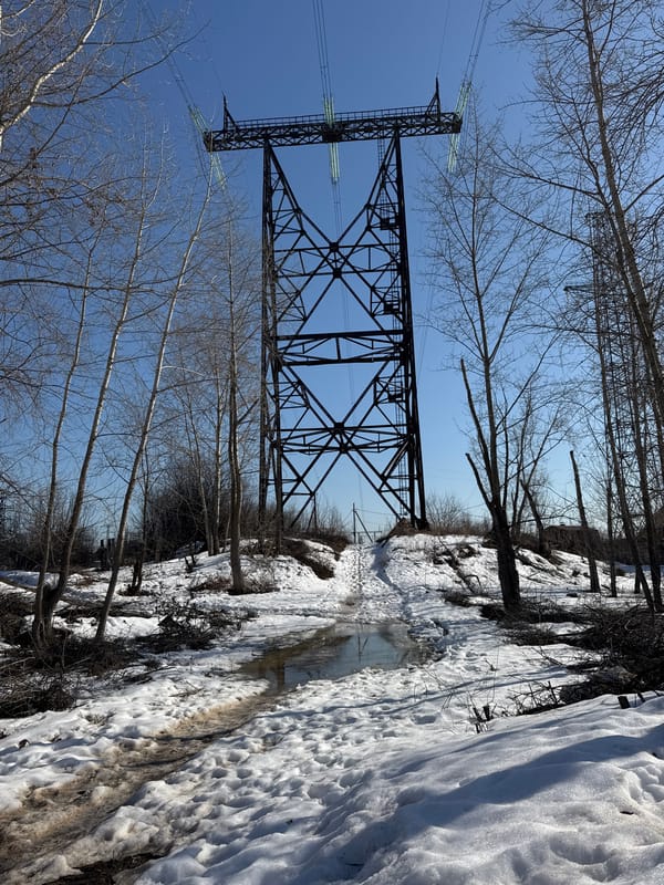 Dog Walk and Fishing Trip Along Frozen River