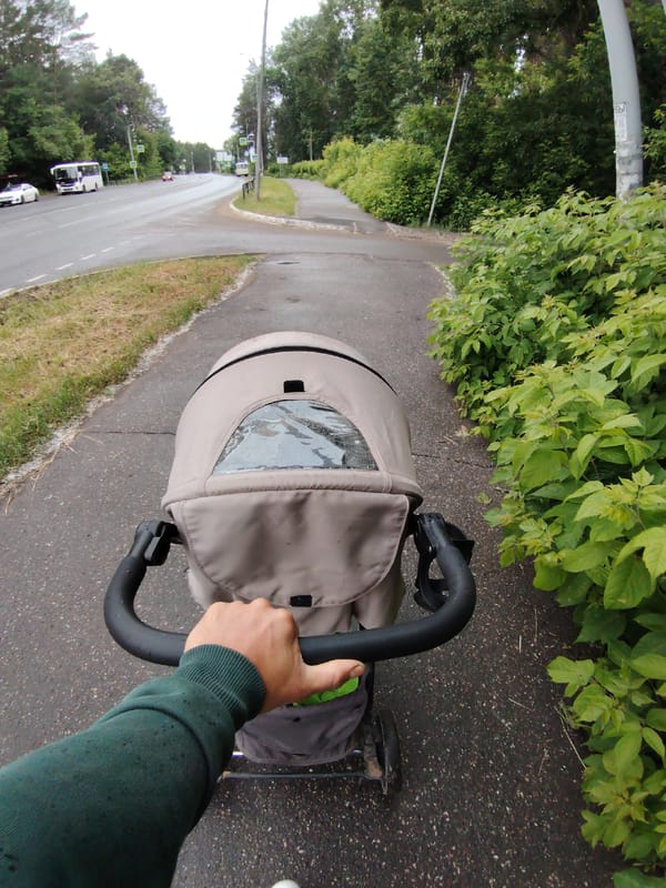 Father documents morning flower walk with sons in Chaikovsky