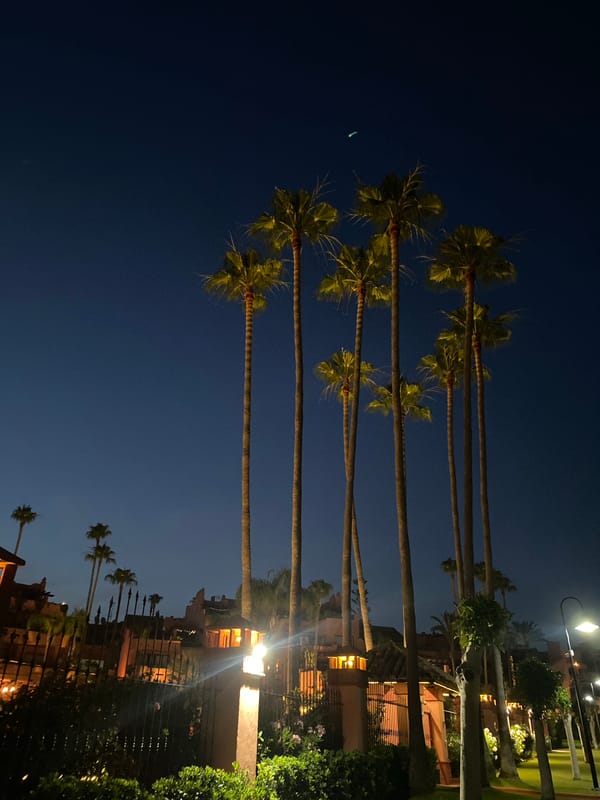 Estepona's coastal strip at dusk, summer evening