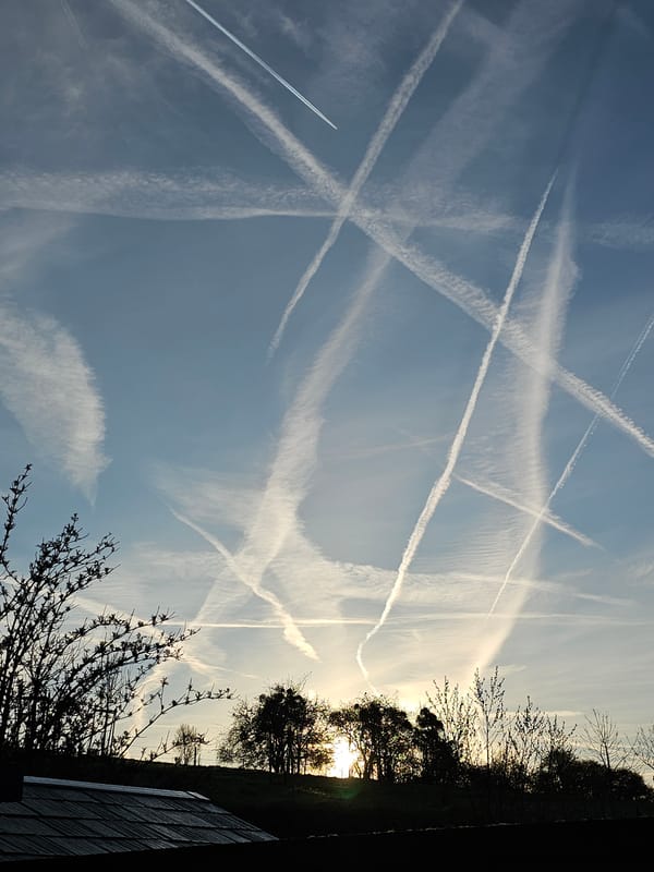 Dense contrail network observed over Junglinster, Luxembourg morning sky