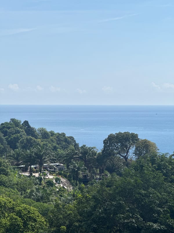 Lush tropical canopy spreads across Karon's forested hillside