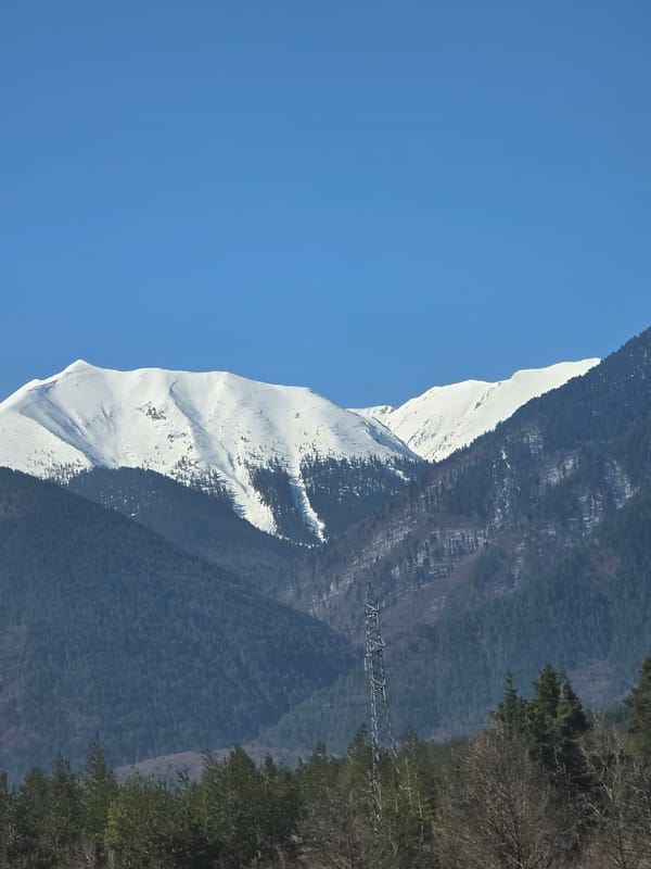 Mountain landscape with snow and forest observed in Bulgaria