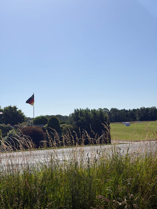 Sunny rural landscape: hay fields, grassland, and a tree-lined path