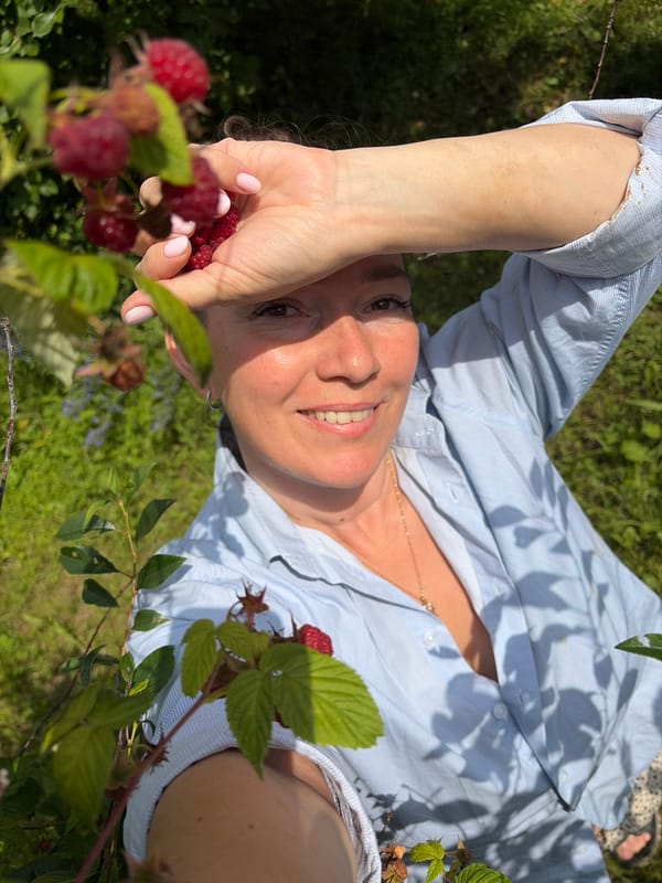 Summer morning in an Olkhovka garden — berries, wildflowers, river views