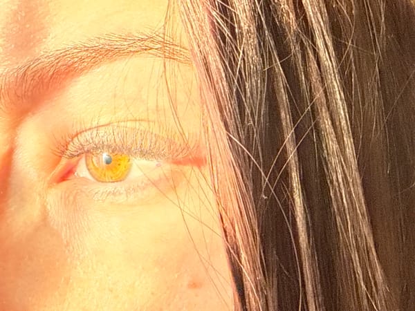 Quiet afternoon portraits captured in Donetsk amid sunlight