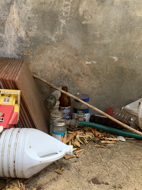 Tree and utility area documented in Santa Ana, Venezuela