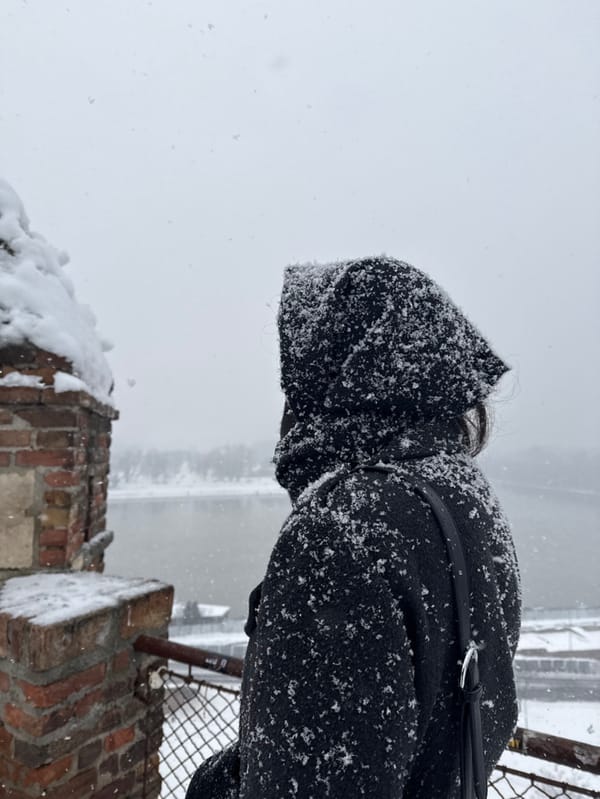 Winter visitors enjoy snowfall at Belgrade's Kalemegdan Fortress