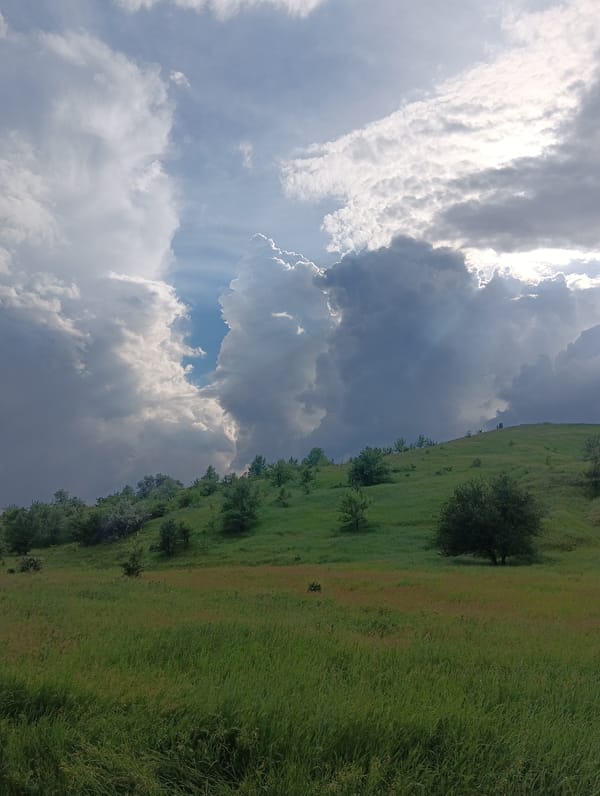 Sheep and cattle graze in countryside under dramatic skies