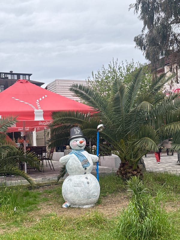 Snowman spotted at sidewalk cafe with tropical setting in Russia