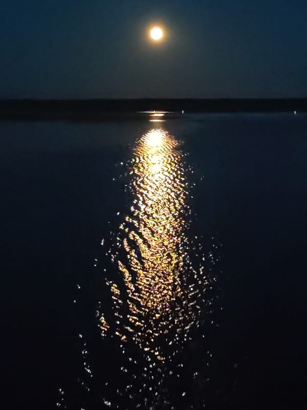 Moonlight creates golden reflection on Russian water body