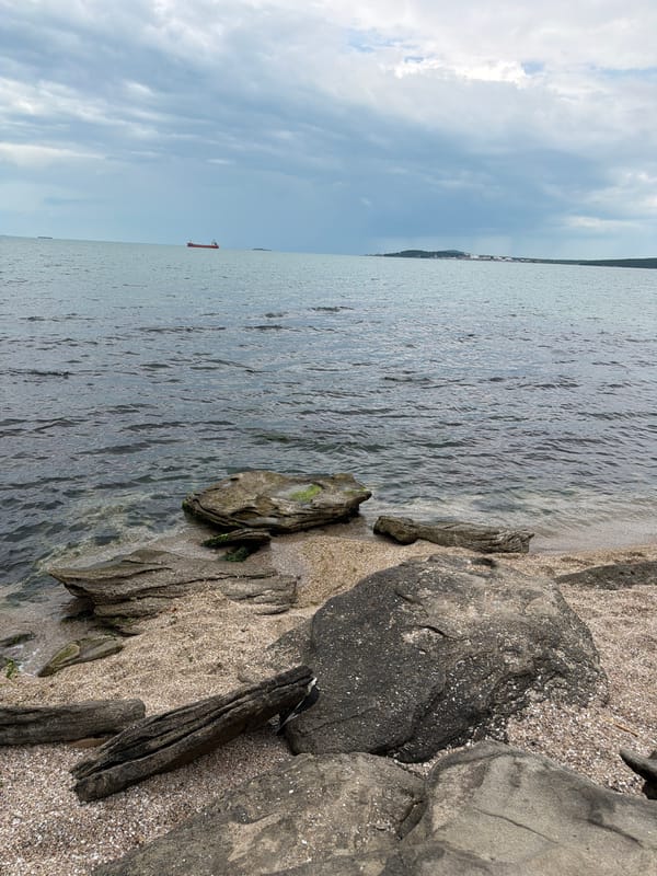Witness documents rocky Black Sea shoreline in Burgas, Bulgaria