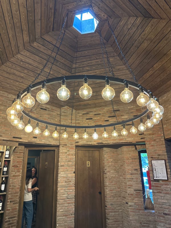 Visitor documents traditional Georgian restaurant experience in Tbilisi