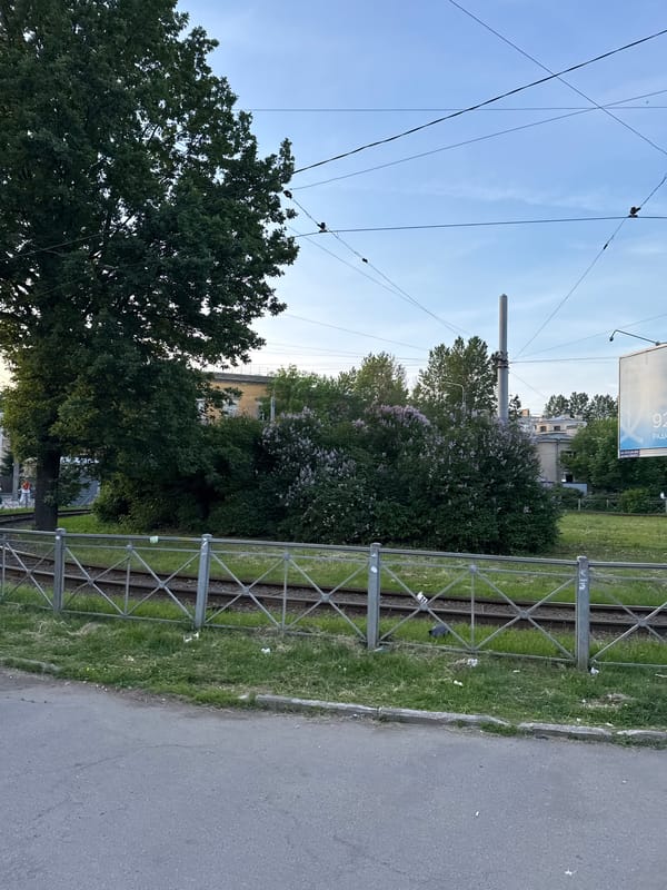 Everyday street scenes documented across Saint Petersburg neighborhoods
