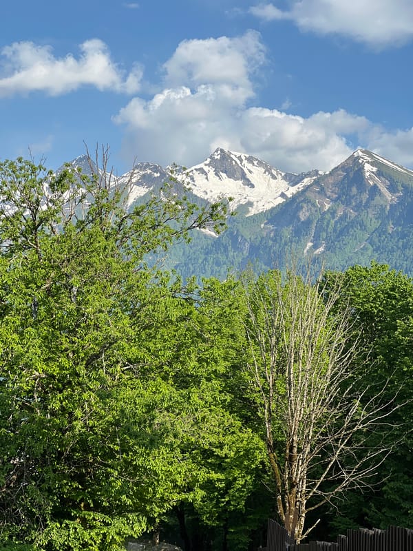 Clear day scenery documented in Krasnaya Polyana mountains