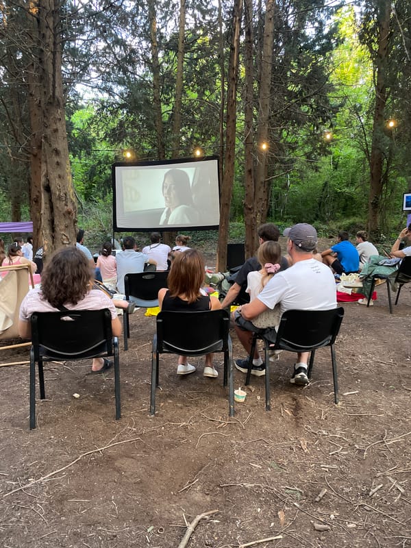 Forest festival night: film screening, art installations, and easy crowds