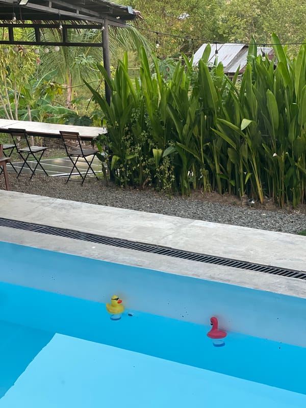 Poolside work-from-anywhere morning in General Luna, Philippines