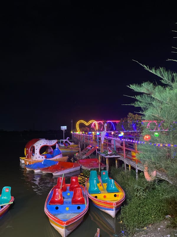 Night carnival scene documented in Dhaka with rides and boats